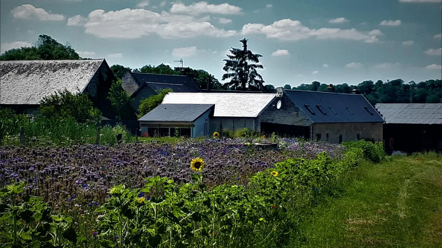 NANTEUIL-LA-FOSSE Gîte du moulin à vent