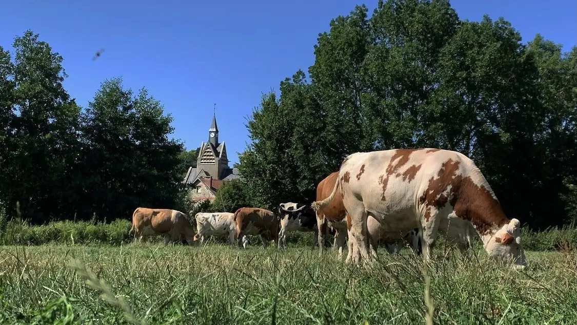 NANTEUIL-LA-FOSSE Gîte du moulin à vent