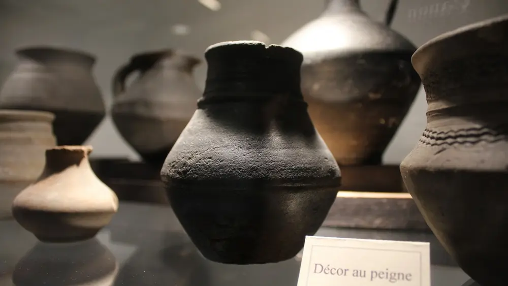 Salle archéologie et paléontologie