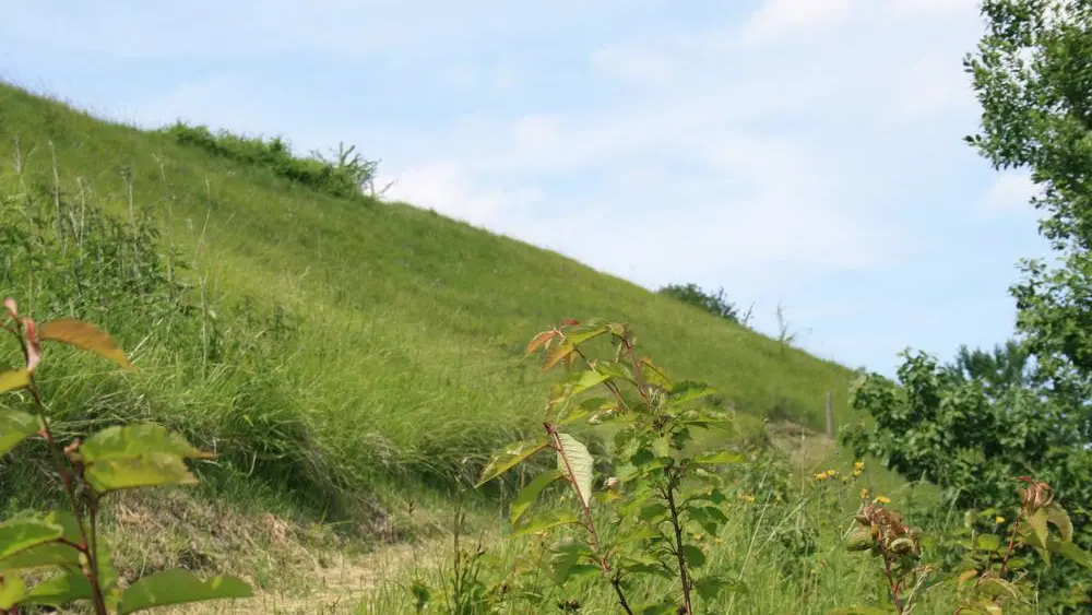 Falaise < Tupigny < Aisne < Picardie