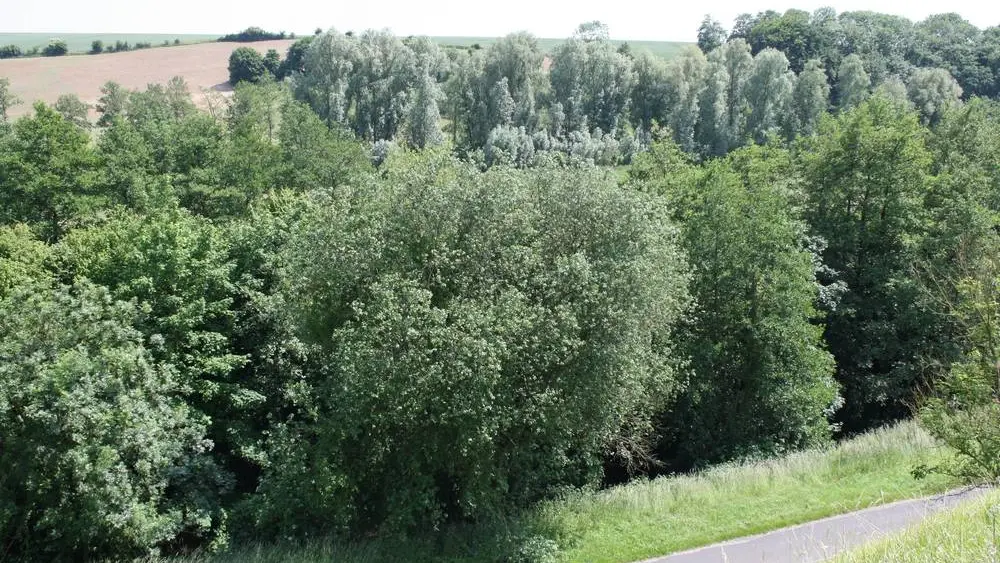 Falaise < Tupigny < Aisne < Picardie
