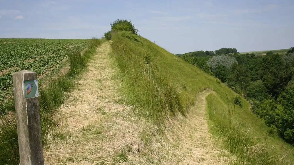 Falaise < Tupigny < Aisne < Picardie