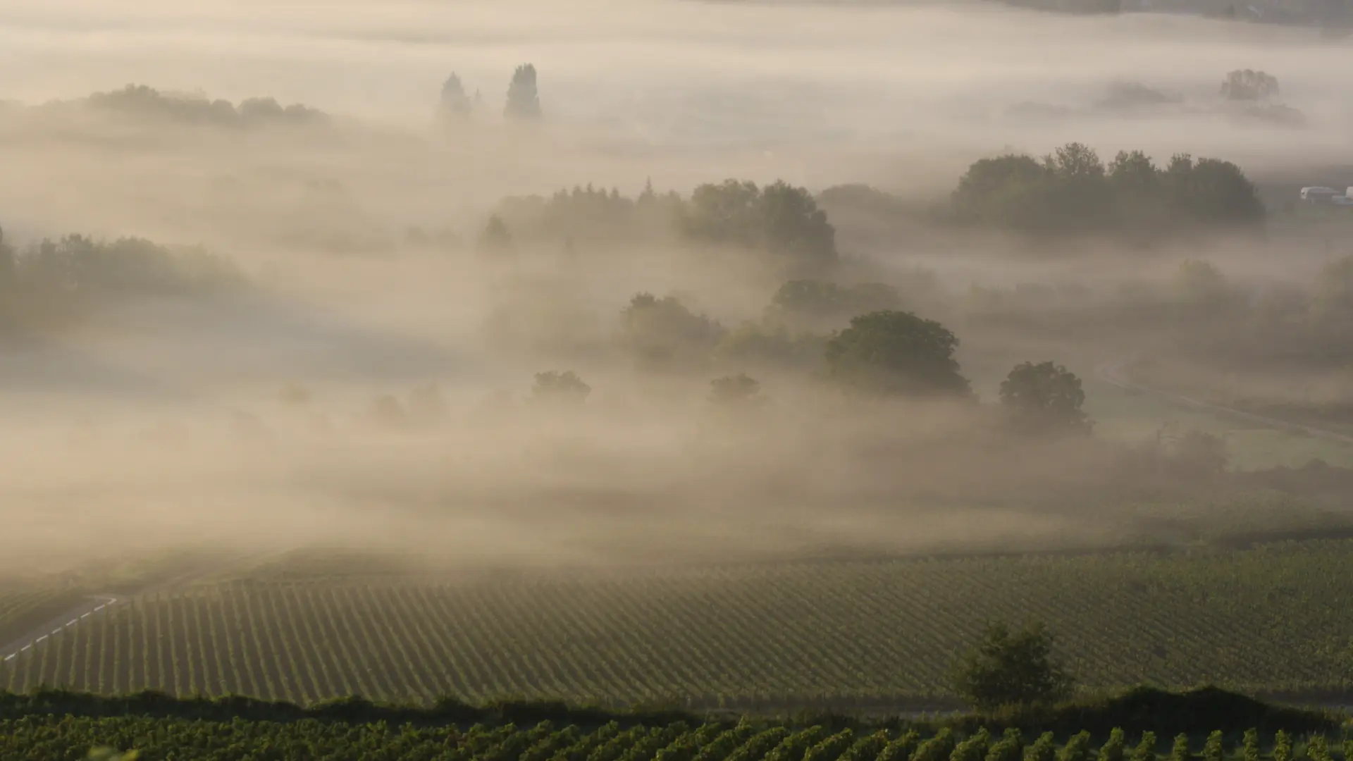 vallée de la Marne