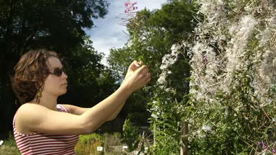 Jardin de Vauclair_Fleurs_femme < Bouconville-Vauclair < Aisne < Picardie