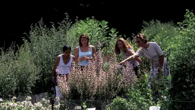 Jardin de Vauclair_touristes < Bouconville-Vauclair < Aisne < Picardie