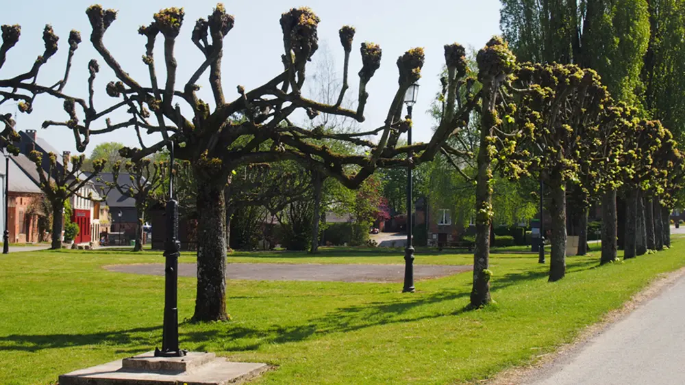 La place du village