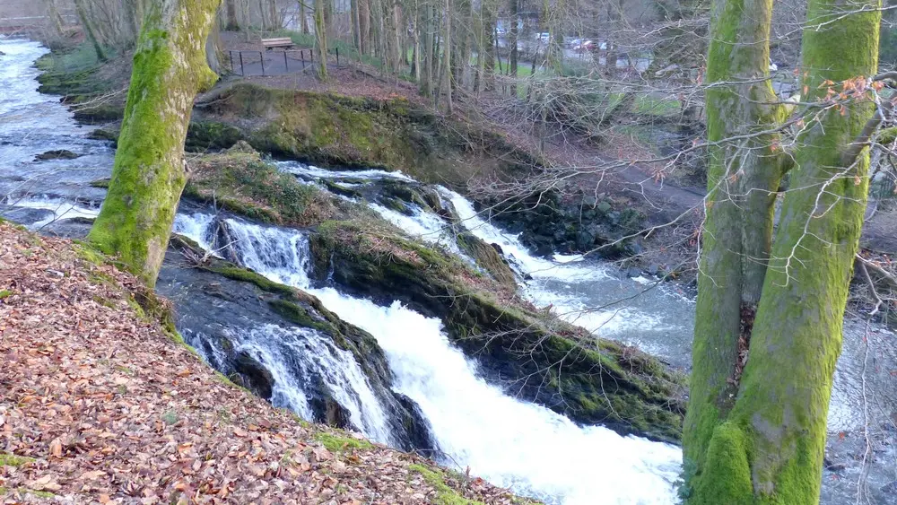 Sentier découverte de Blangy < Hirson < Thiérache < Aisne < Hauts de France