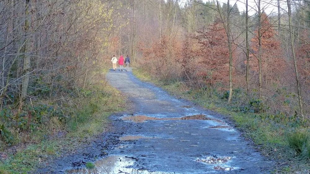 Sentier découverte de Blangy < Hirson < Thiérache < Aisne < Hauts de France