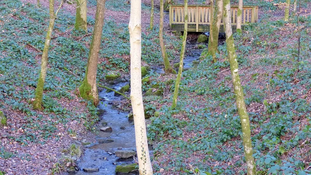 Sentier découverte de Blangy < Hirson < Thiérache < Aisne < Hauts de France