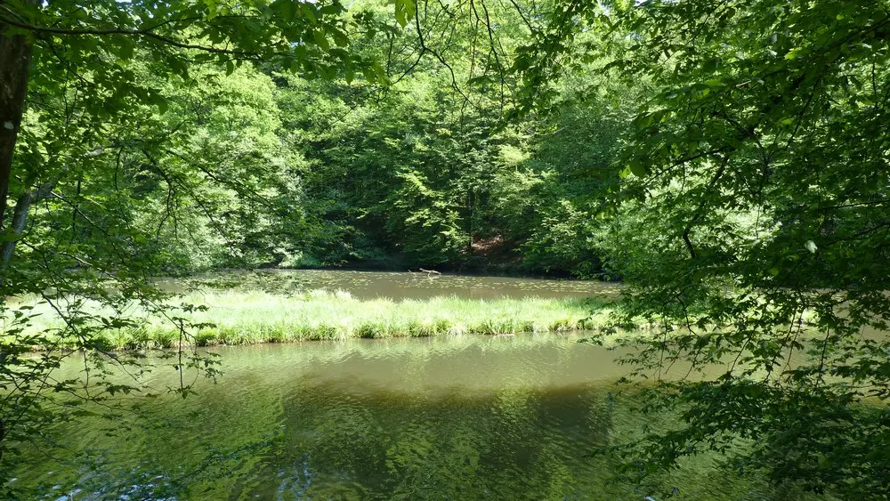 Sentier découverte de Blangy < Hirson < Thiérache < Aisne < Hauts de France
