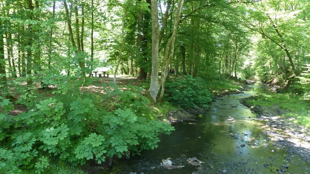 Sentier découverte de Blangy < Hirson < Thiérache < Aisne < Hauts de France