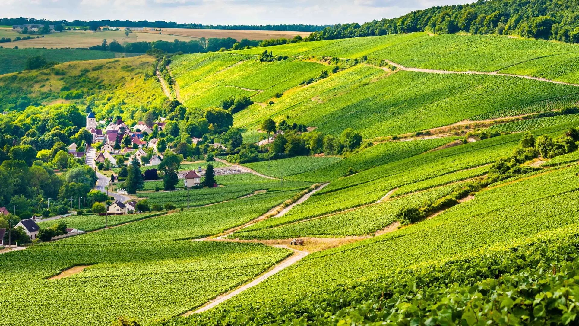 Panorama_vignoble_champagne@Cambon (1)