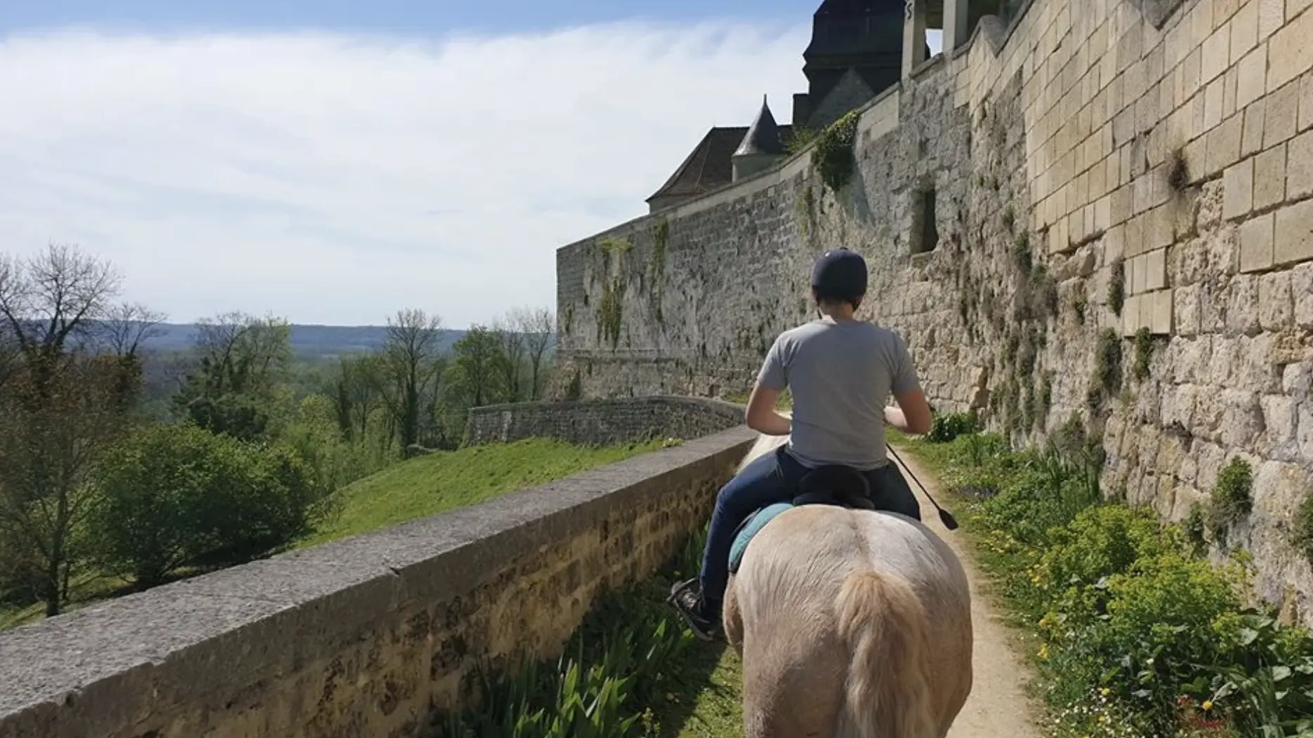 TOUT FER A CHEVAL