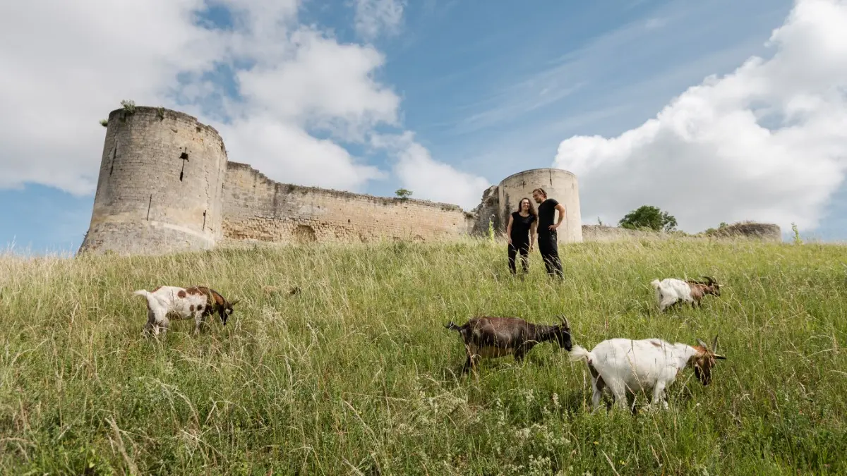 Vestiges du château de Coucy(1)