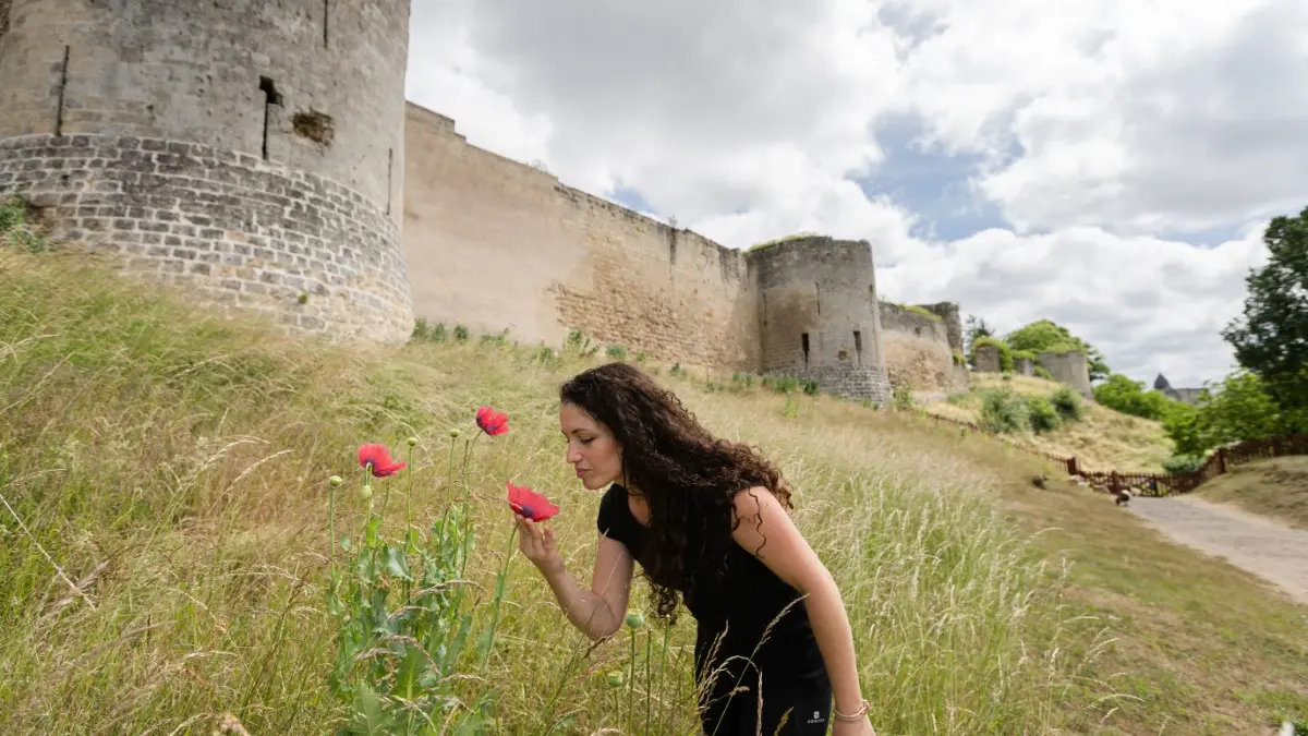 Vestiges du château de Coucy