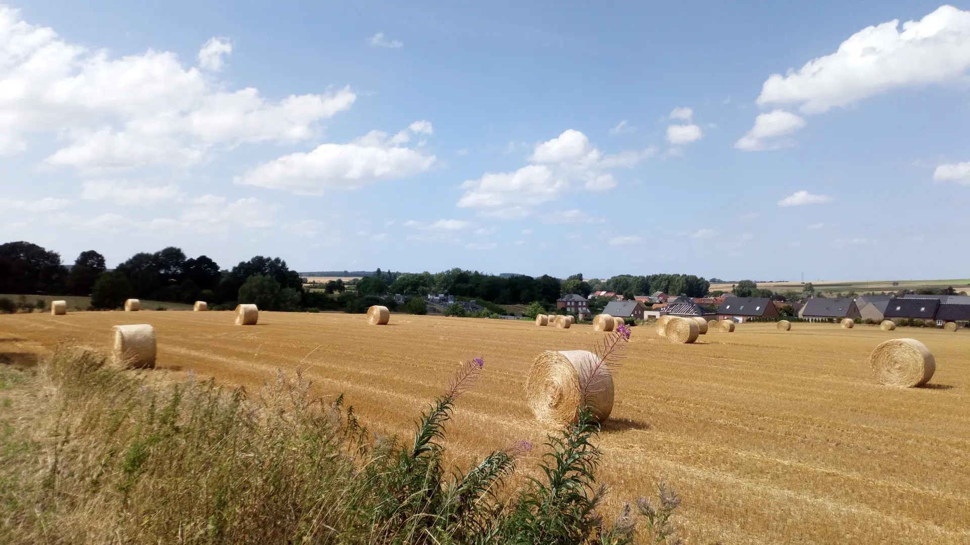Balade du menhir -  vue sur la campagne
