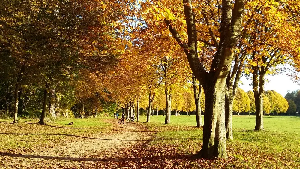 Parc du chateau de Villers-Cotterets à l'automne