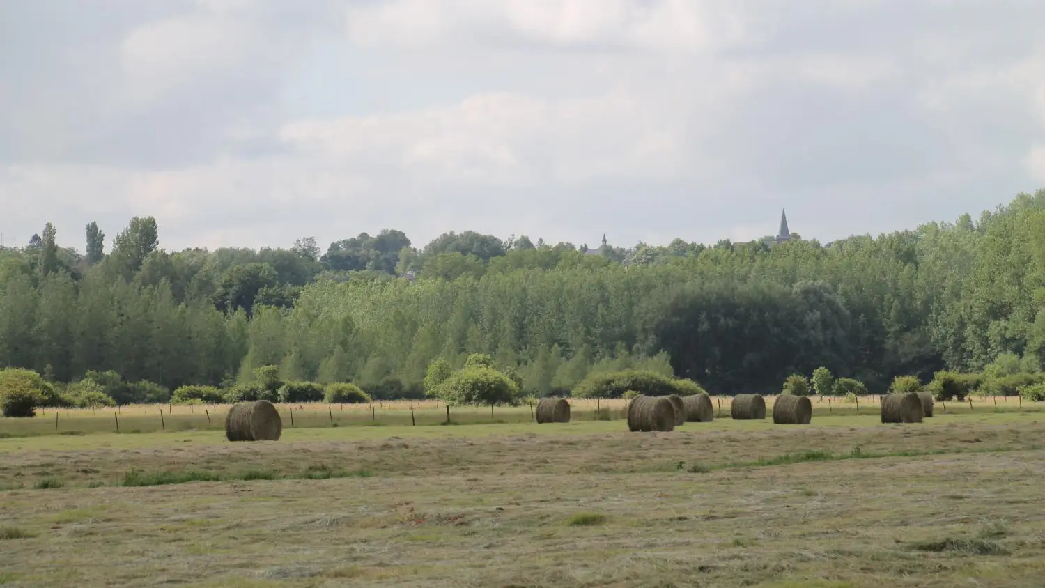 cenp_059376ori