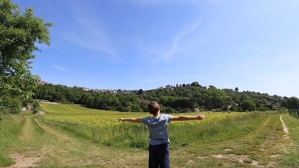 Cuve Saint-Vincent 2020 < Laon < Aisne < Picardie