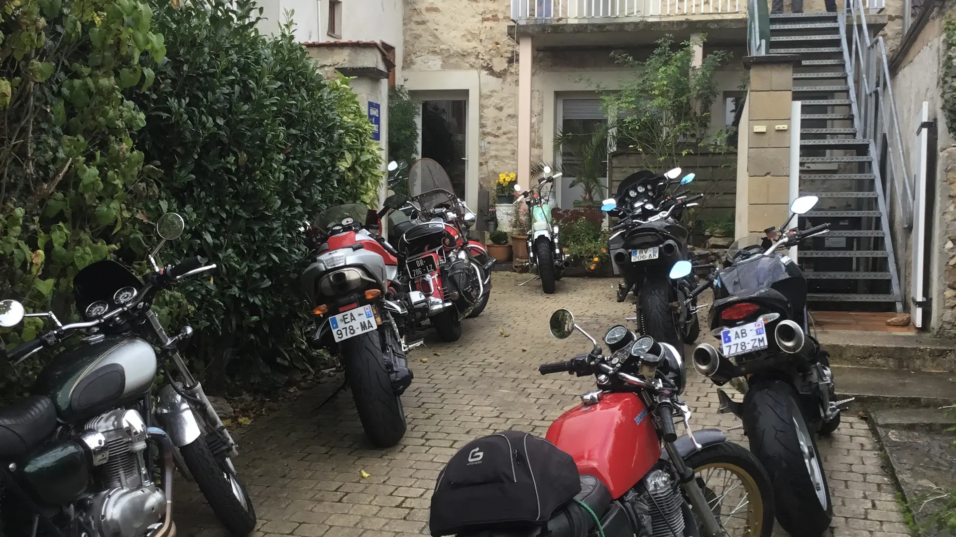 cour