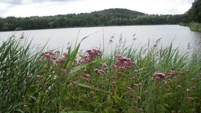 fere-en-tardenois-parc-des-bruyeres