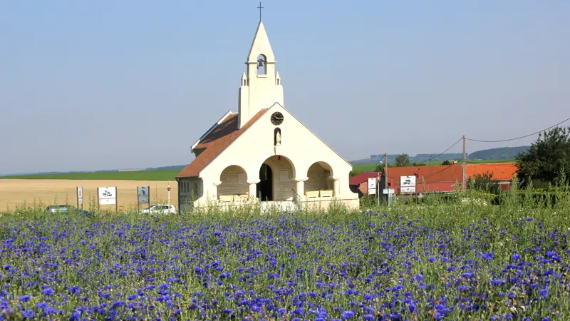 Mémorial 2015 II < Cerny-en-Laonnois < Aisne < Picardie