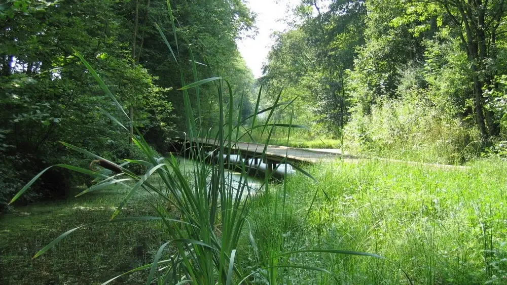 Val de Serre < Grandrieux < Thiérache < Aisne < Picardie < Hauts de France