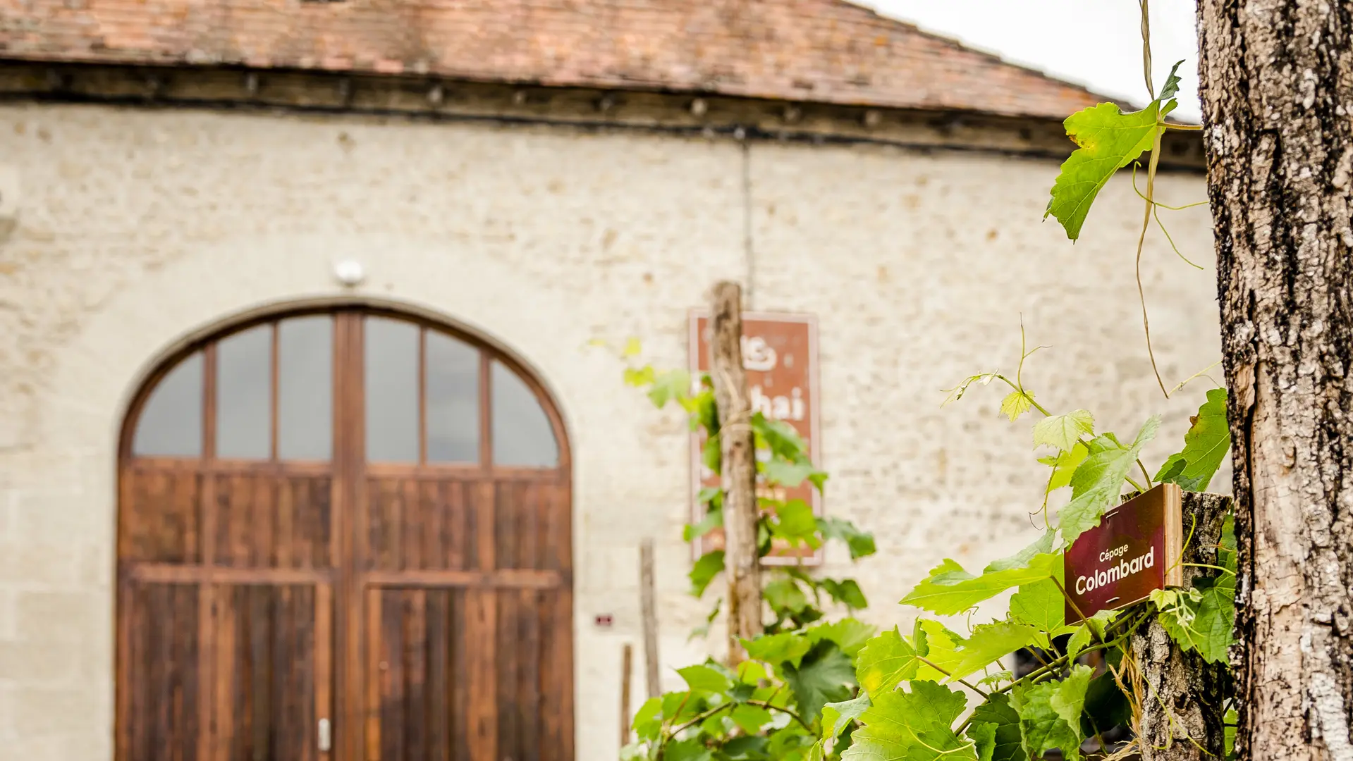 _Musée du Cognac Saint Aulaye© eugenie_leong-camus (29) (1)