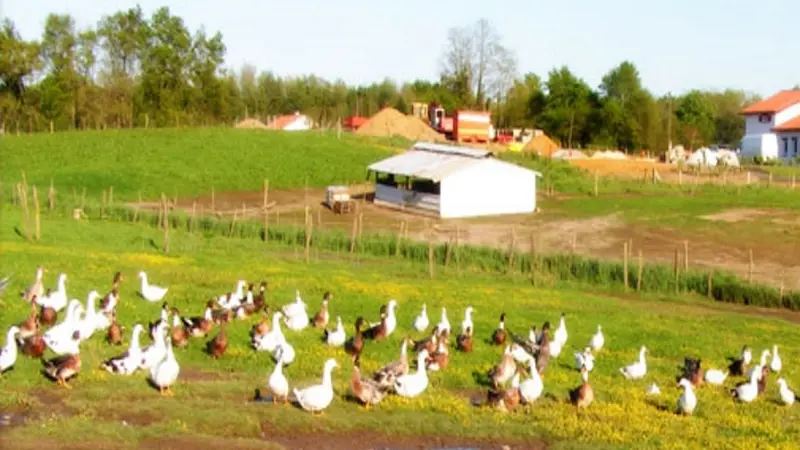 Ferme Batis 2016