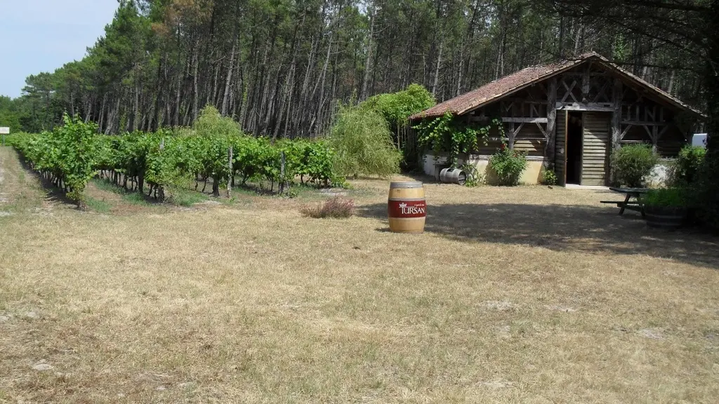 Bergerie des Vignerons du Tursan_Messanges_OTI LAS