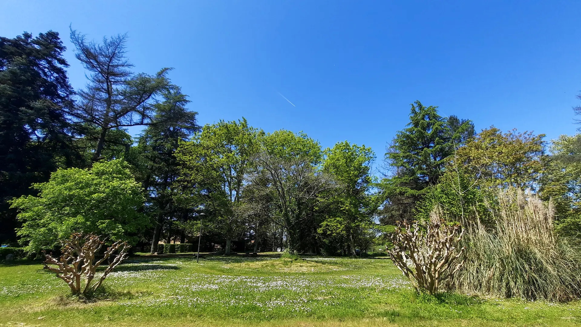 parc-voulgre-mussidan-vegetation-tourisme-vallee-isle-2025