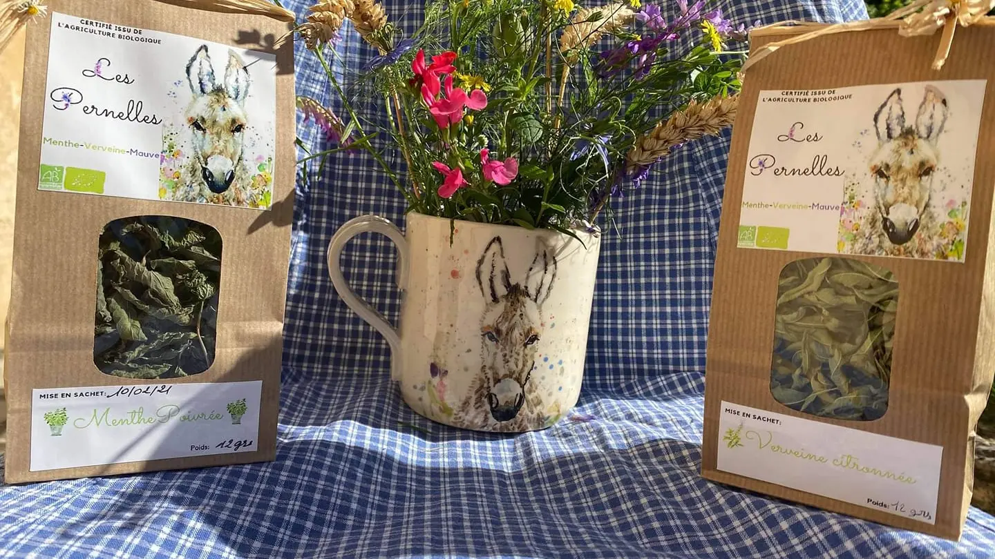 Les Pernelles Infusions