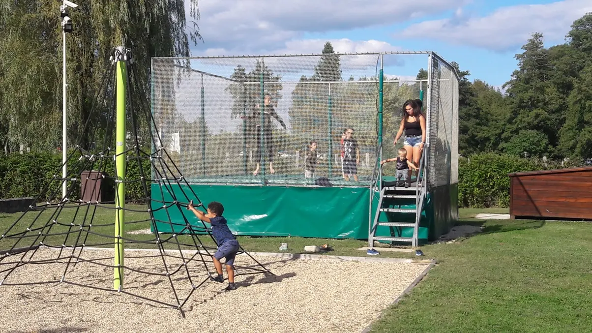 araignée et trampoline