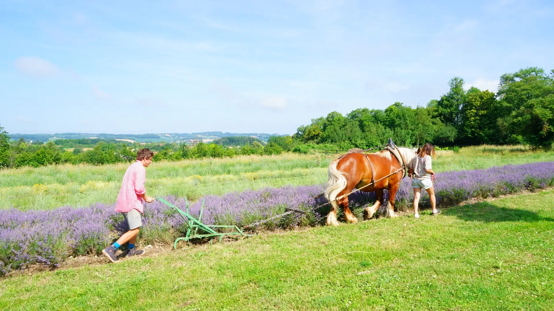 Les Trésors de Galien