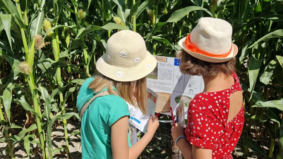 Périgord Inattendu - Labyrinthe de mais à Vendoire