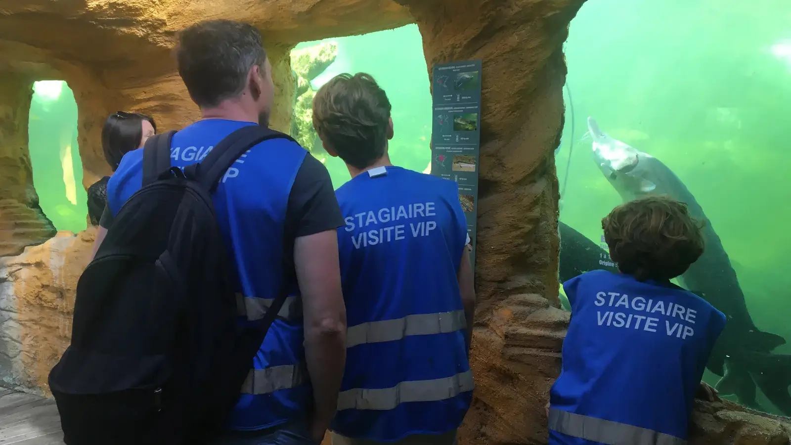 3. Animation esturgeon chaque jour