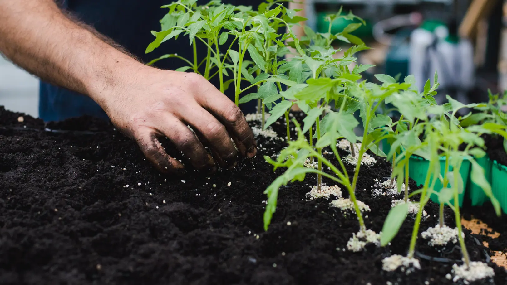 Potager Meyfrenie