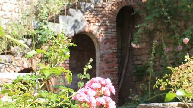 Jardin public Roseraie