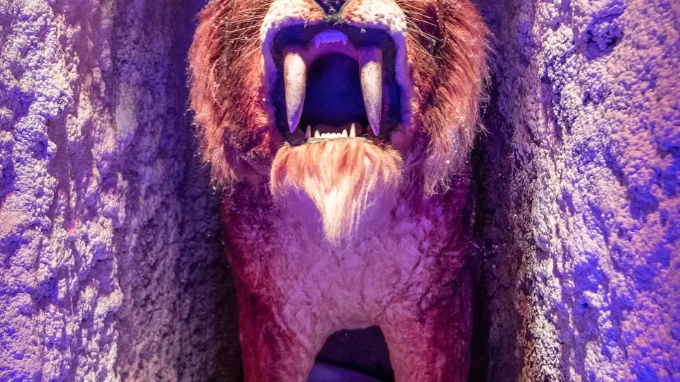 6.2022-08-23_APN_205