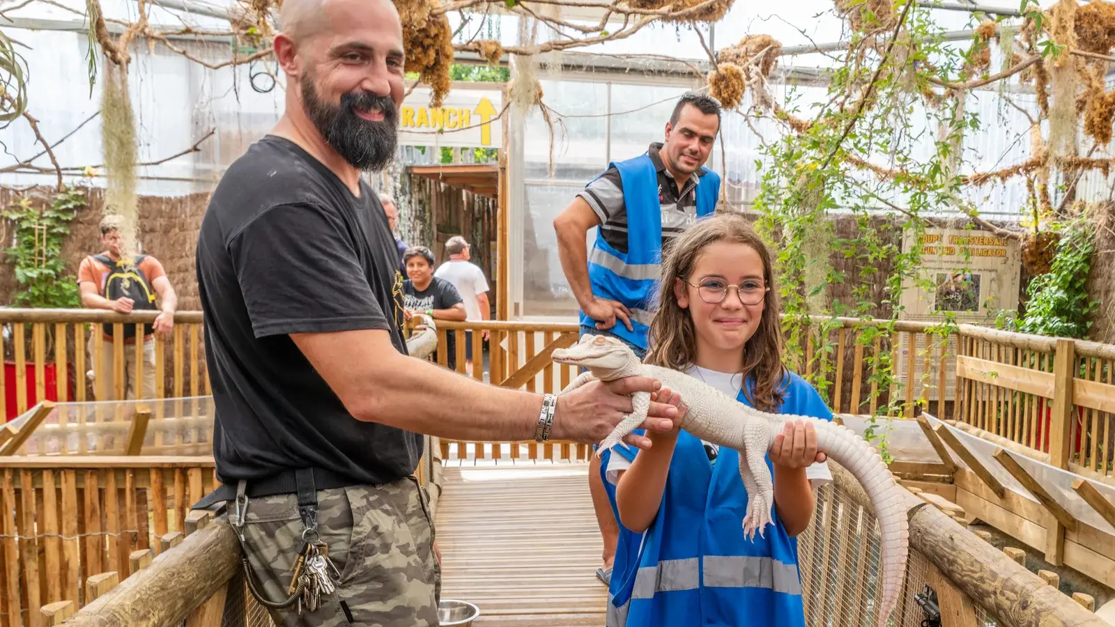 9. animation nourrissage bb alligator albinos