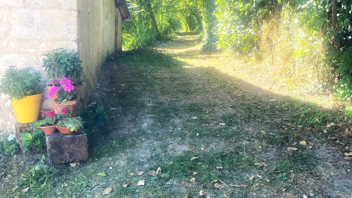 COURSAC-Boucle de Chantebrune-chemin