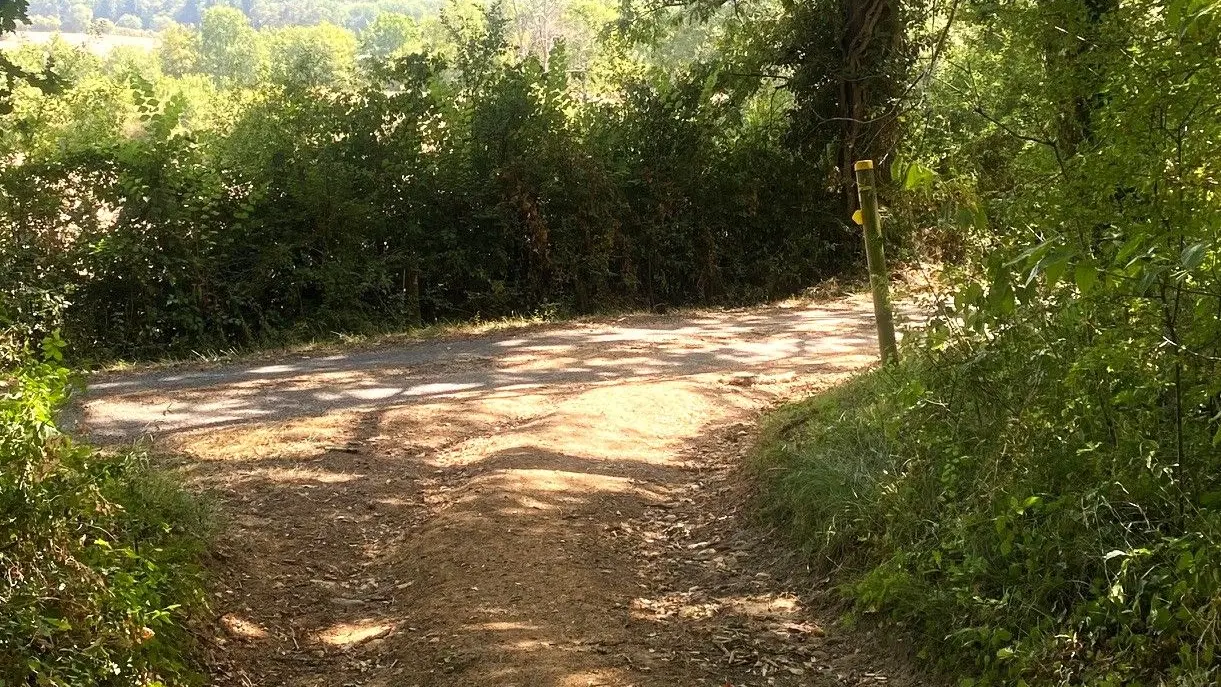 CENDRIEUX-Boucle du Maquis-chemin 3