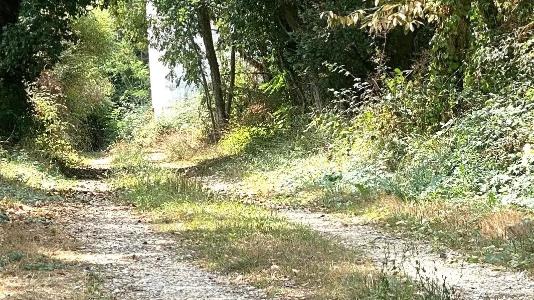 CHALAGNAC-Boucle du Bas Combin-Chemin