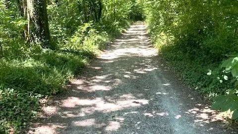 CHAMPCEVINEL-Boucle de Borie Petit-Chemin