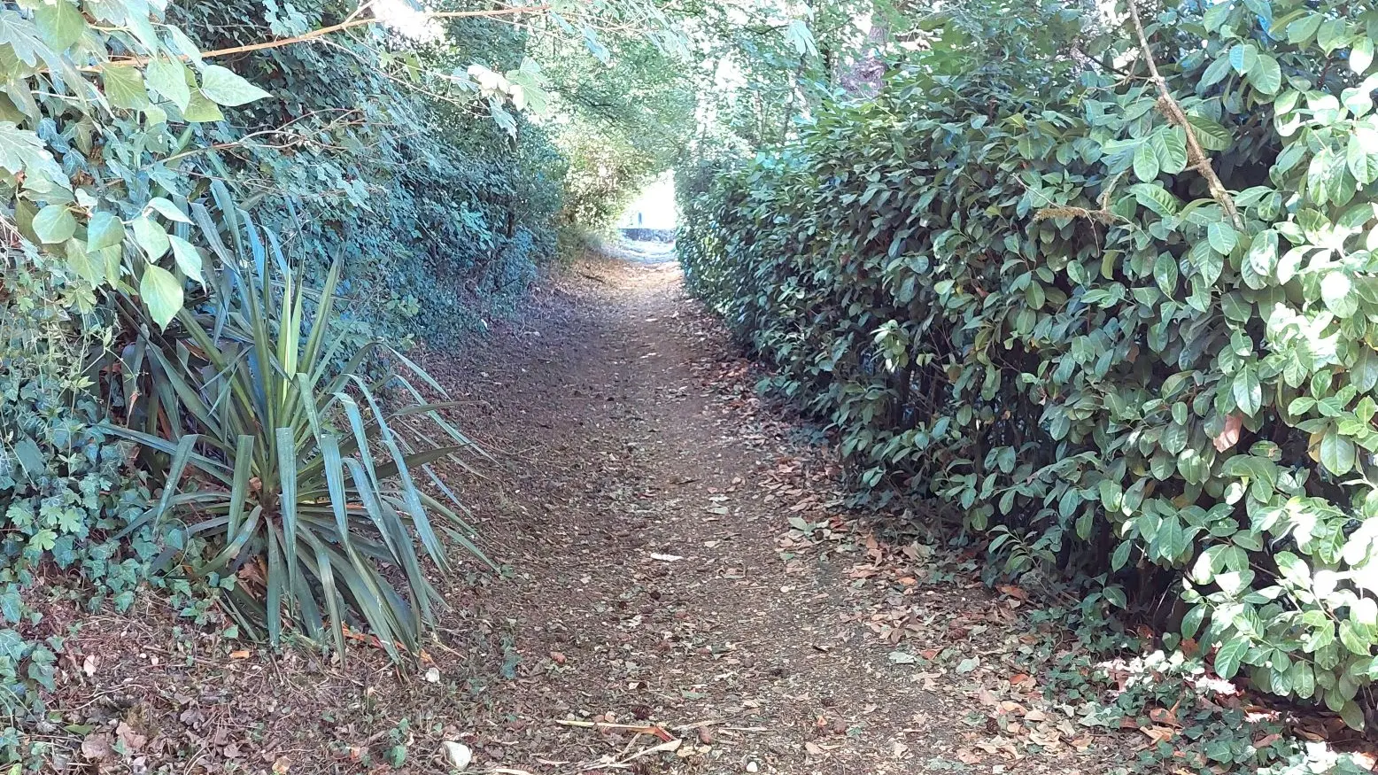 CHANCELADE-Boucle des Andrivaux-Chemin