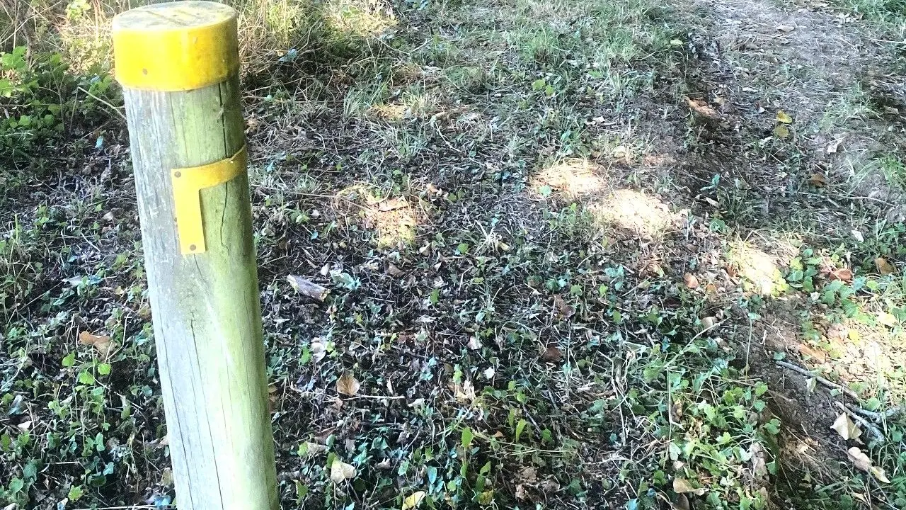 Coursac-Ronde des lavandières-chemin