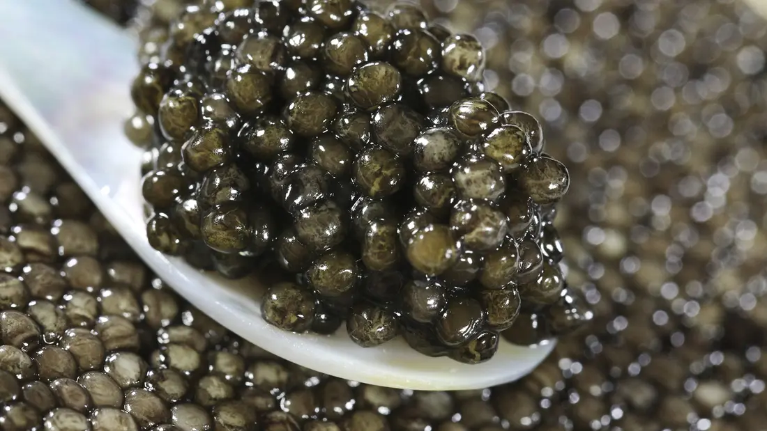 Caviar Perle Noire_Les Eyzies