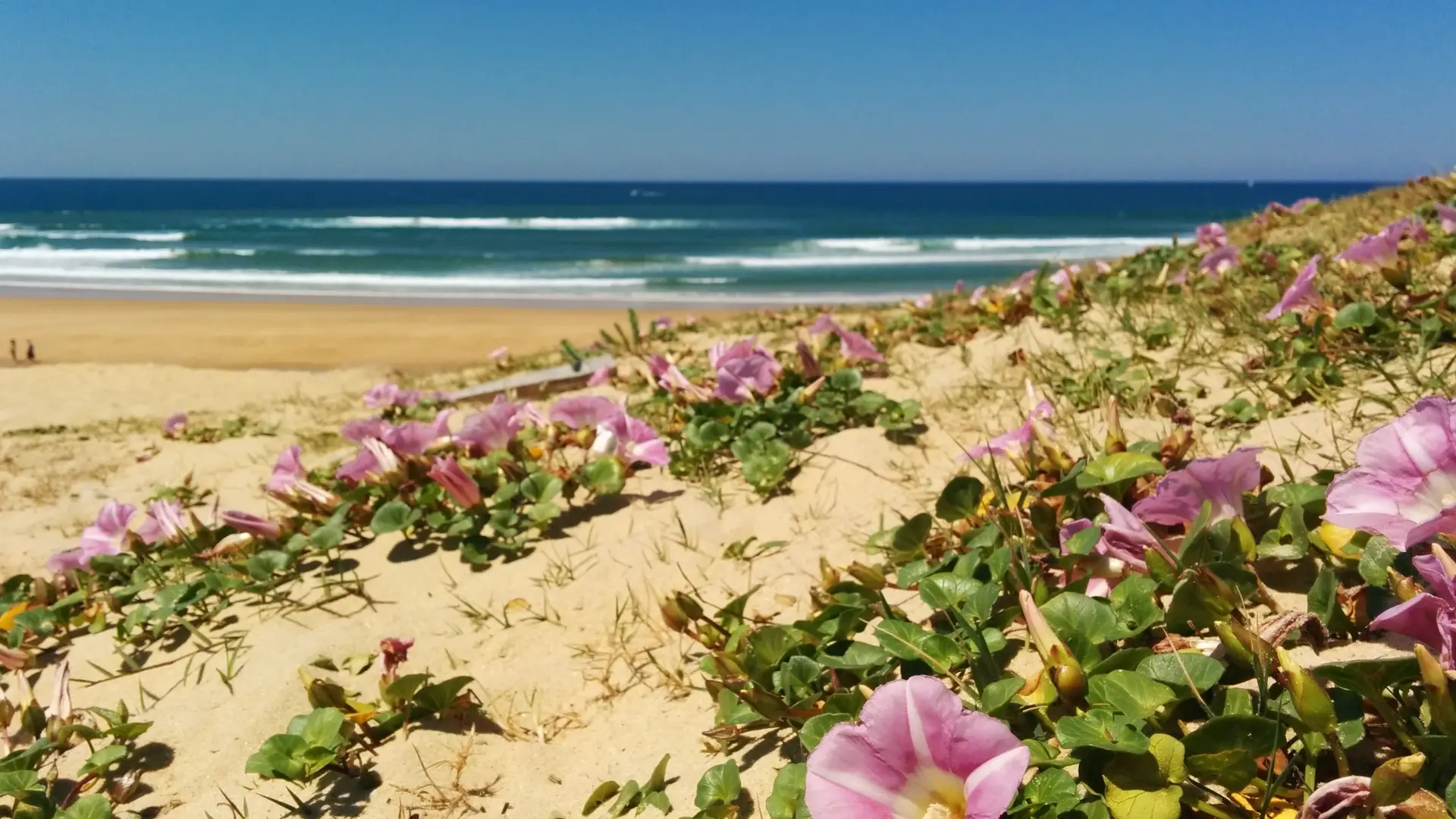 Plage des Casernes