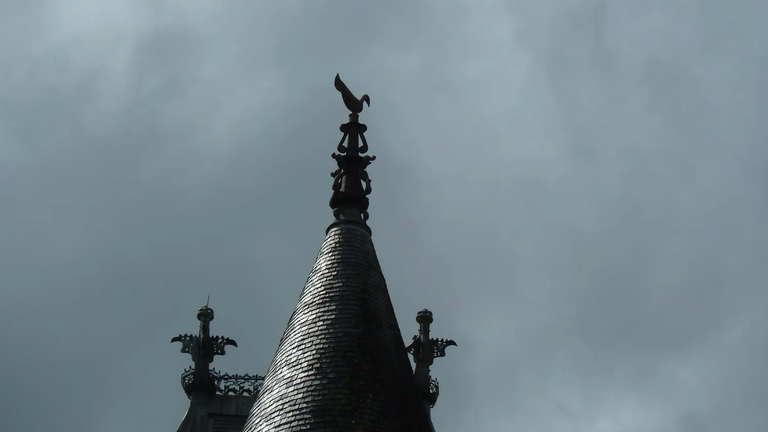 Château de Jumilhac faîtieres contre jour