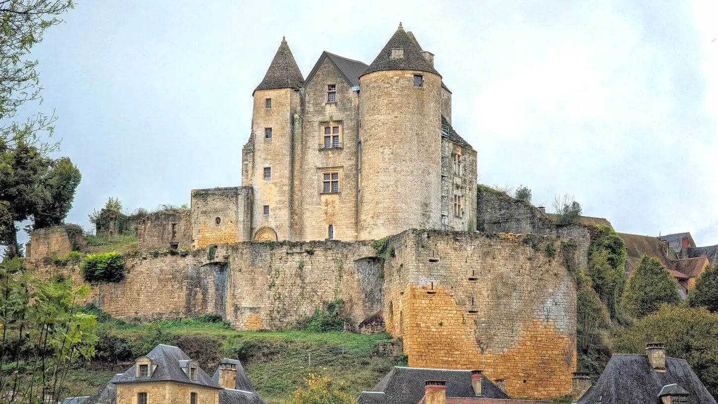Chateau de Salignac (1)